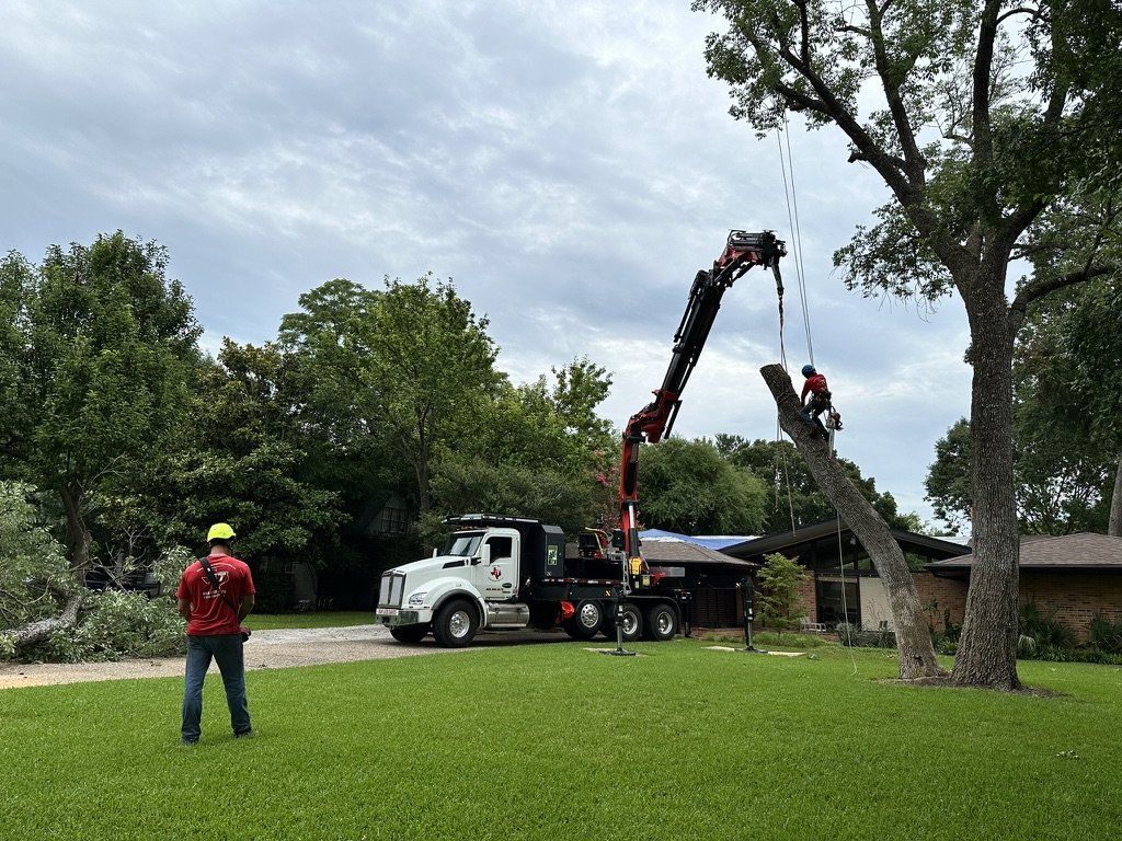 Grapple saw truck supporting a removal while the crew works from the ground