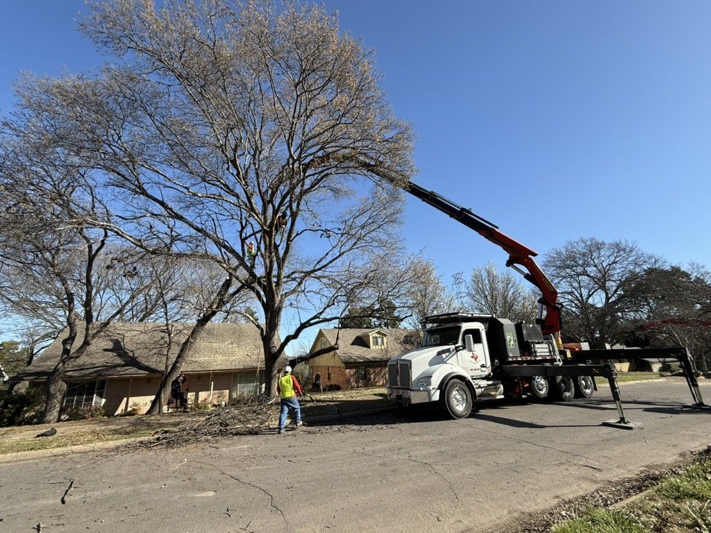 Grapple saw truck with stabilizers deployed reaching into a large tree